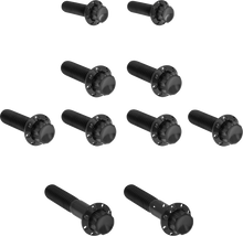 ARLEN NESS Bolt Kit - Transmission Side Cover/Trap Door - 12-Point - Titanium - Black 300-984