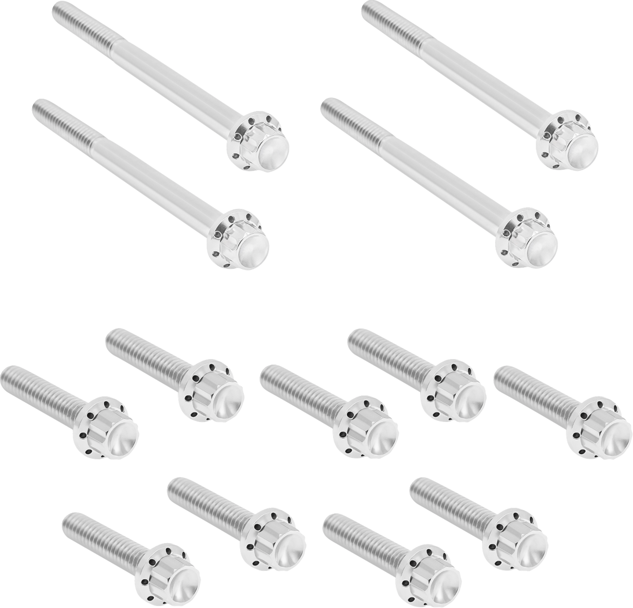 ARLEN NESS Bolt Kit - Primary Cover - Titanium - 12-Point - FLT - Polished 300-926