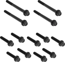 ARLEN NESS Bolt Kit - Primary Cover - Titanium - 12-Point - FLT - Black 300-927