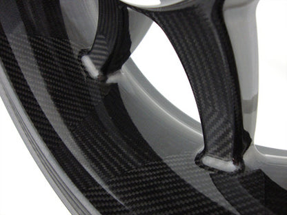 BST Panther TEK 7 Spoke Carbon Fiber Rear Wheel for the BMW R nineT, K1200S/R, K1300S/R, R1200S/R RS and RS LC, HP2 Sport / MegaMoto - 6.0 x 17