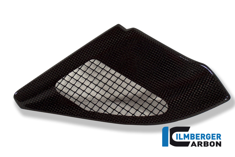Ilmberger Carbon Injection Cover, Carbon for the BMW R 1200 GS 2004-2012