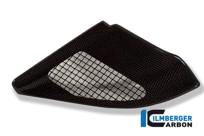 Ilmberger Carbon Injection Cover, Carbon for the BMW R 1200 GS 2004-2012