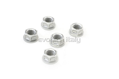 Evotech Srl Billet Aluminum Flange Nuts or Sprocket Nuts for Ducati, MV Agusta, and Aprilia (set of 5) M10x1.25