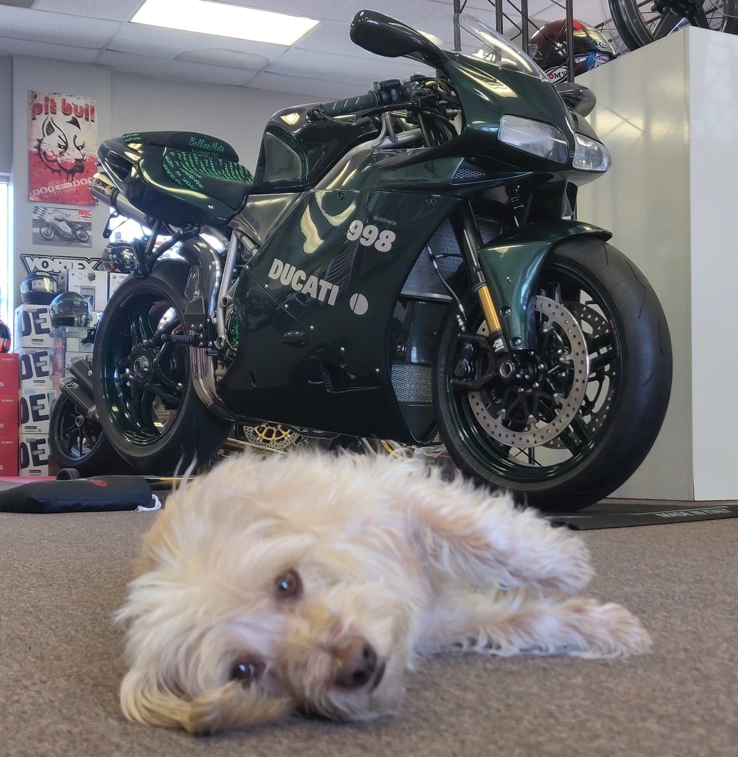 2004 Ducati 998 Matrix Edition - BEST IN THE WORLD!
