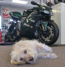 2004 Ducati 998 Matrix Edition - BEST IN THE WORLD!