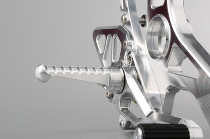 AELLA Riding Step Kit (Rearsets) for the Ducati Monster 1200R - Polished