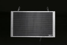 AELLA Oil Cooler Guard for Ducati Monster S4 / S4R
