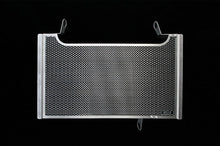 AELLA Radiator Guard for Ducati Monster S4RS / S4RT