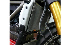 AELLA Radiator Guard for Ducati Streetfighter - Lower