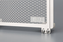 AELLA Radiator Guard for Ducati Hypermotard 821 / 939