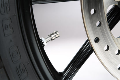 AELLA Titanium Air Valve Cap (1 Piece Included)