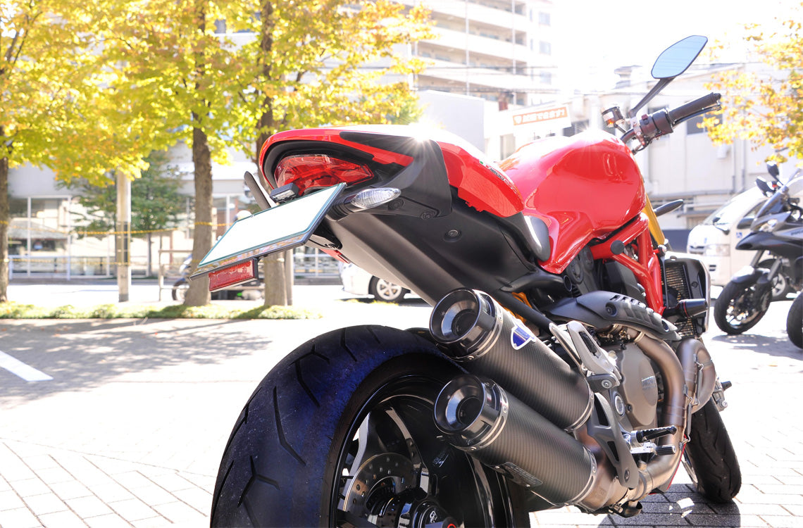 AELLA Short Number Plate Holder for the Ducati Monster 821 / 1200