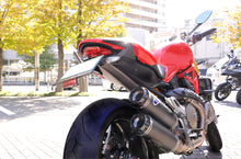 AELLA Short Number Plate Holder for the Ducati Monster 821 / 1200