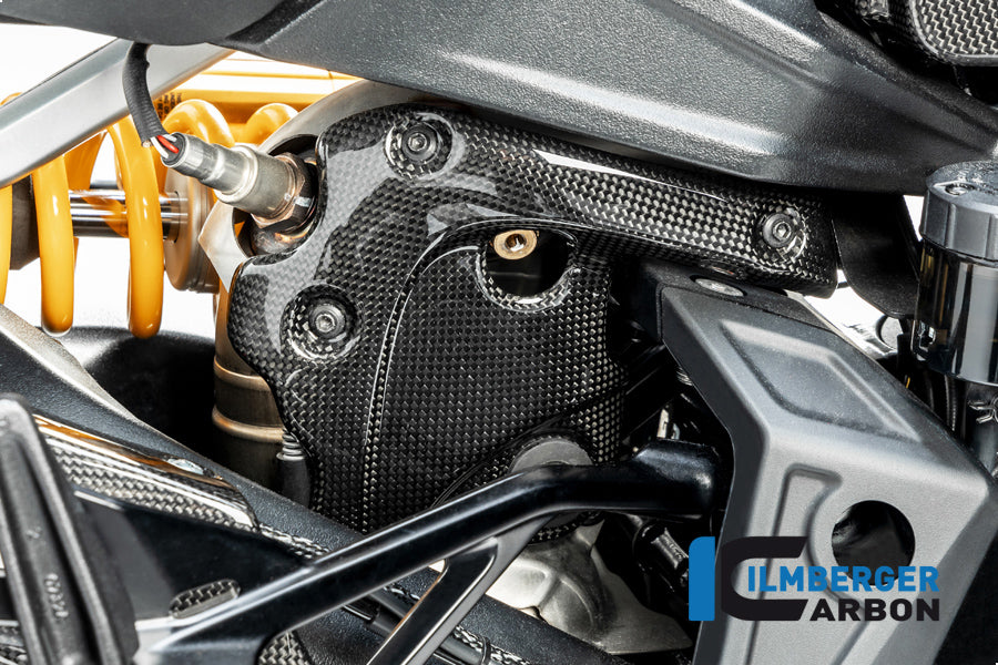 Ilmberger Carbon Exhaust protection on the Manifold for the Ducati Diavel 1260 2019