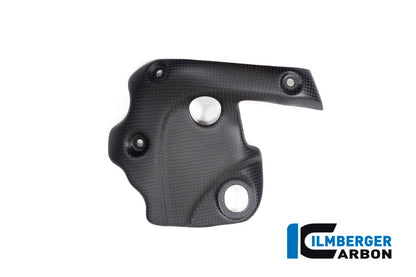 Ilmberger Carbon Exhaust protection on the Manifold for the Ducati Diavel 1260 2019