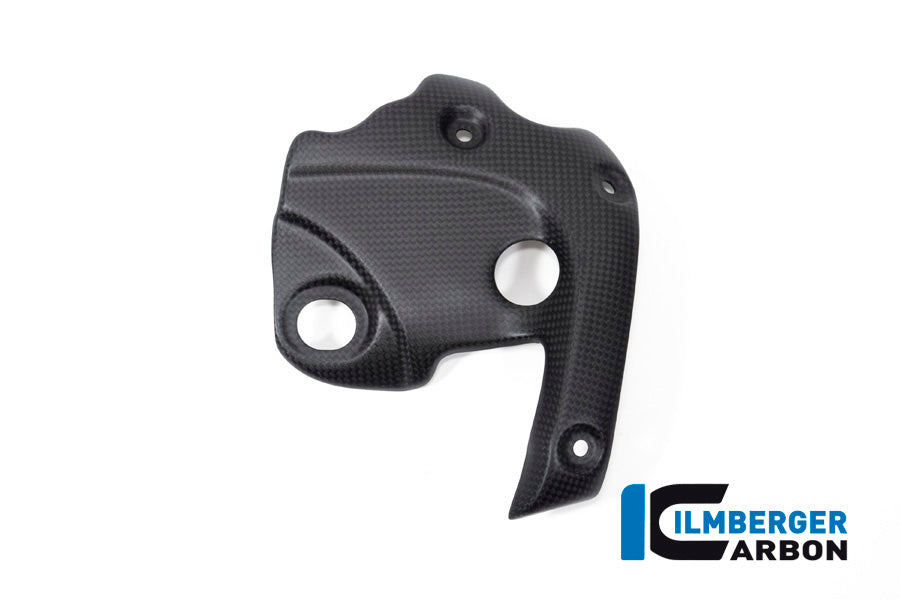 Ilmberger Carbon Exhaust protection on the Manifold for the Ducati Diavel 1260 2019