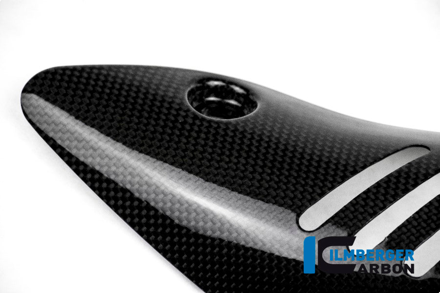 Ilmberger Carbon Exhaust Protection Manifold for the Ducati Monster 1200/S/R/821 '14-17