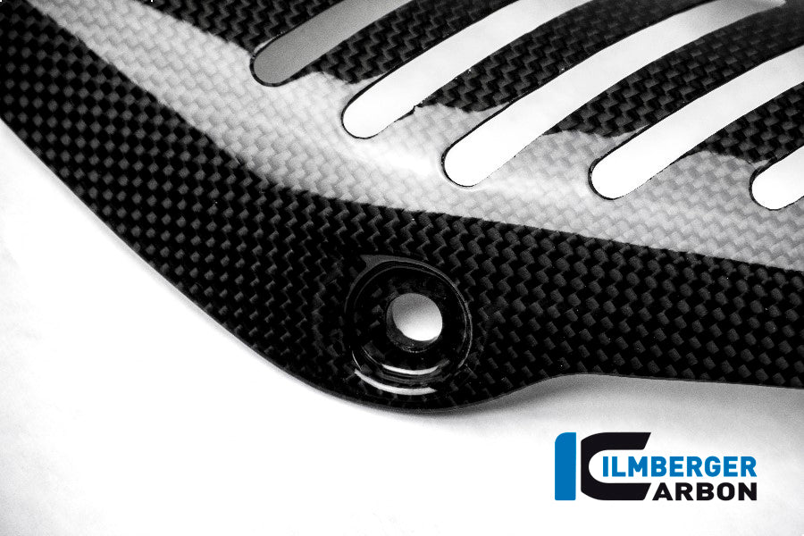 Ilmberger Carbon Exhaust Protection Manifold for the Ducati Monster 1200/S/R/821 '14-17