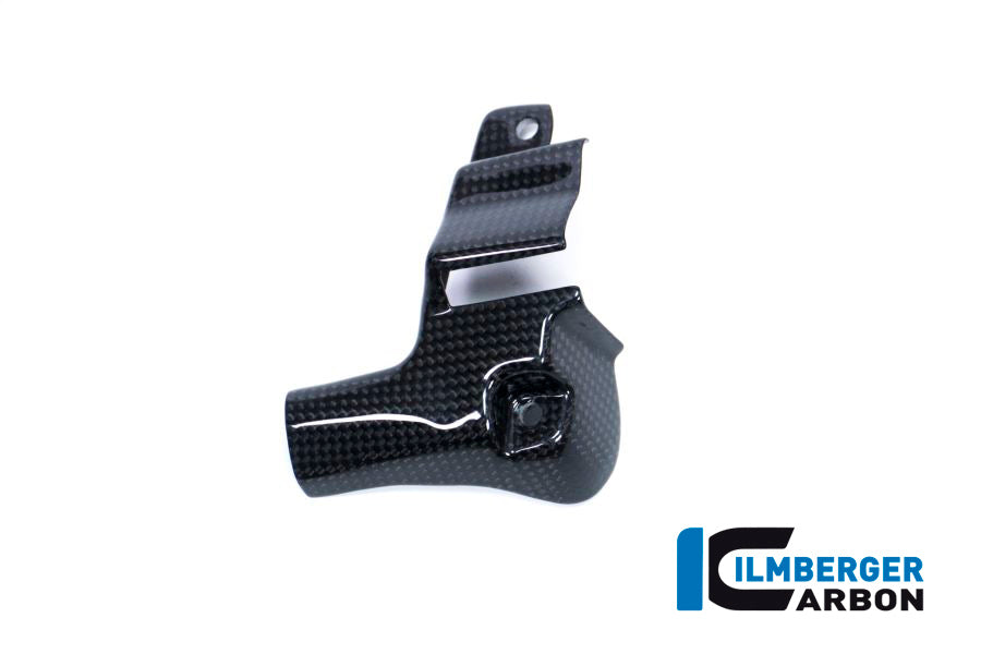 Ilmberger Carbon Exhaust Protection Set for the Ducati Panigale V4,V4 S '18-20 / V4 Racing '18-19 / Streetfighter V4 '20-22