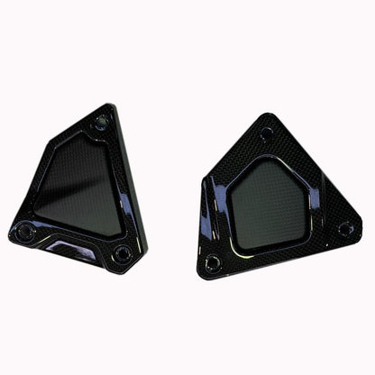 QD Carbon Fiber Side Covers (with Alutech Carbon) for the Indian FTR 1200 (Flat Track Racer)