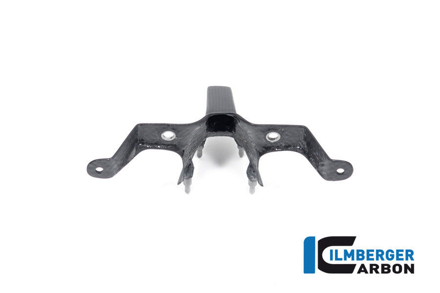 Ilmberger Carbon Instrument Cover (Windshield) for the Ducati Streetfighter V4 '20-23