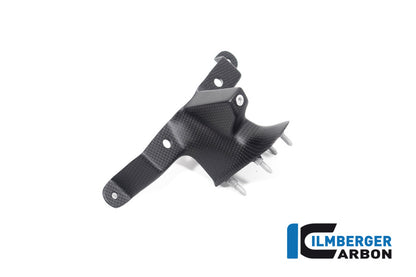 Ilmberger Carbon Instrument Cover (Windshield) for the Ducati Streetfighter V4 '20-23