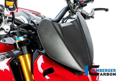 Ilmberger Carbon Instrument Cover (Windshield) for the Ducati Streetfighter V4 '20-23