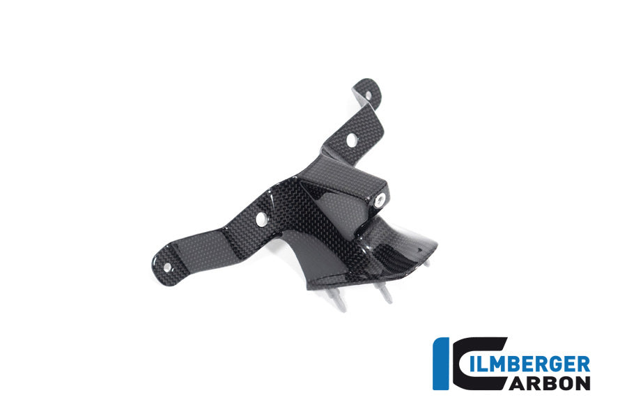 Ilmberger Carbon Instrument Cover (Windshield) for the Ducati Streetfighter V4 '20-23