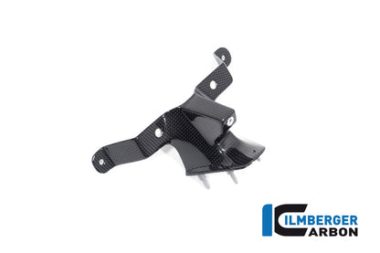 Ilmberger Carbon Instrument Cover (Windshield) for the Ducati Streetfighter V4 '20-23