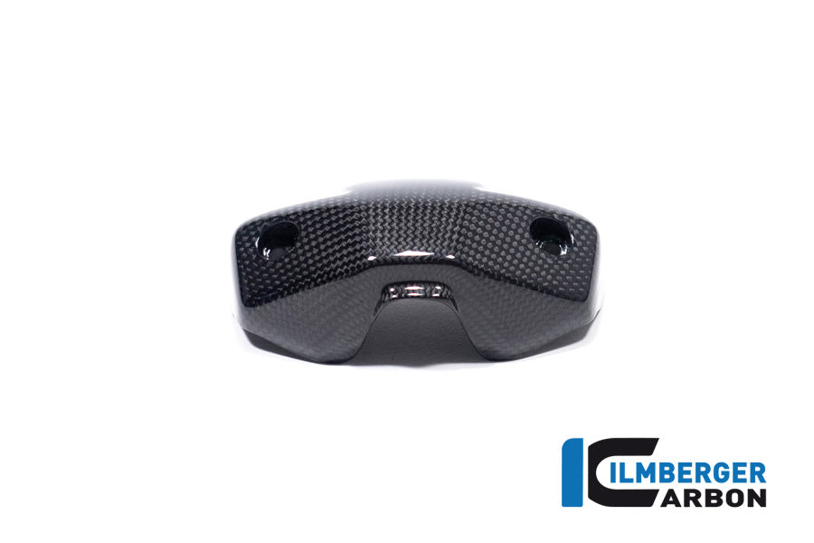 Ilmberger Carbon Instrument Cover for the Ducati Streetfighter V2 '22