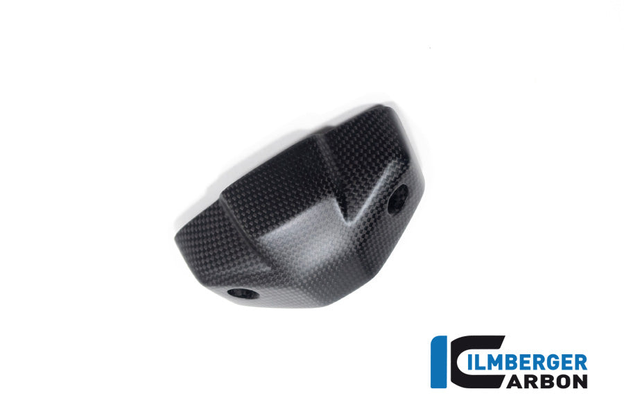 Ilmberger Carbon Instrument Cover for the Ducati Streetfighter V2 '22