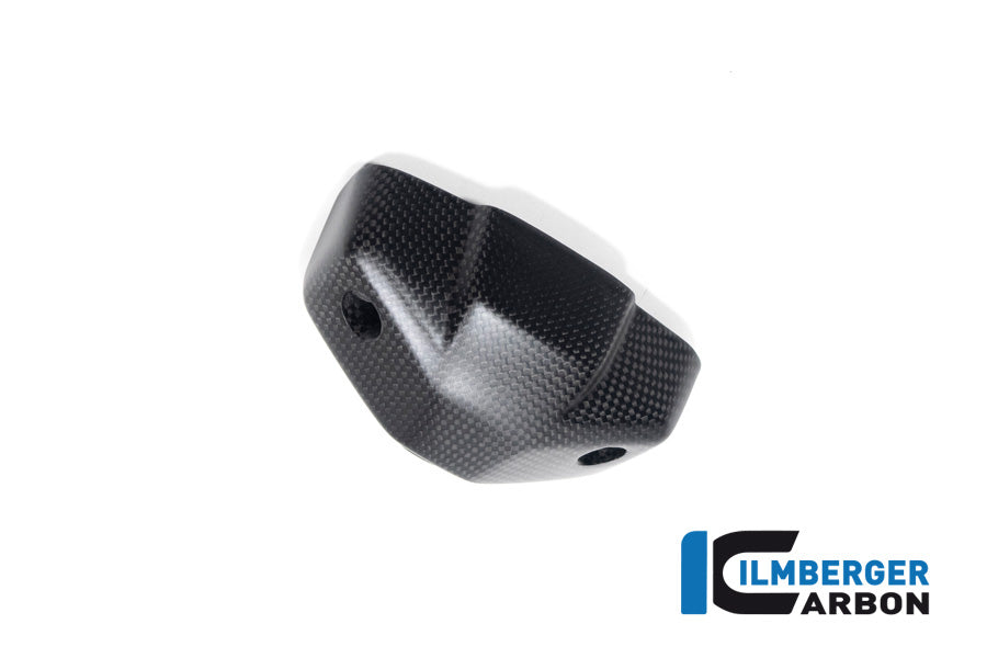 Ilmberger Carbon Instrument Cover for the Ducati Streetfighter V2 '22