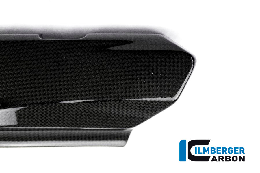 Ilmberger Carbon Cover under the Frame, Left Side for the Ducati Monster 1200/S/R/821 '14-17