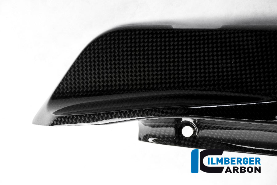 Ilmberger Carbon Cover under the Frame, Left Side for the Ducati Monster 1200/S/R/821 '14-17