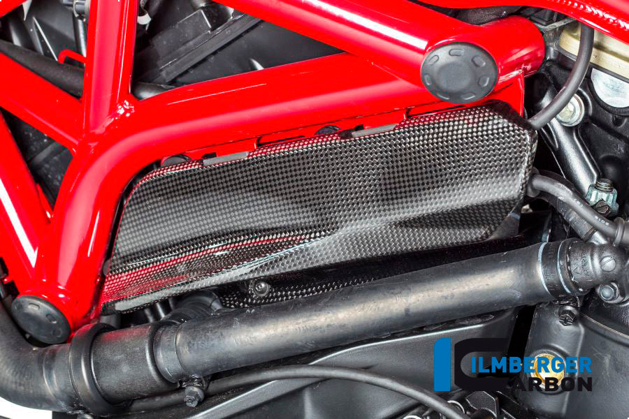 Ilmberger Carbon Cover under the Frame, Left Side for the Ducati Monster 1200/S/R/821 '14-17