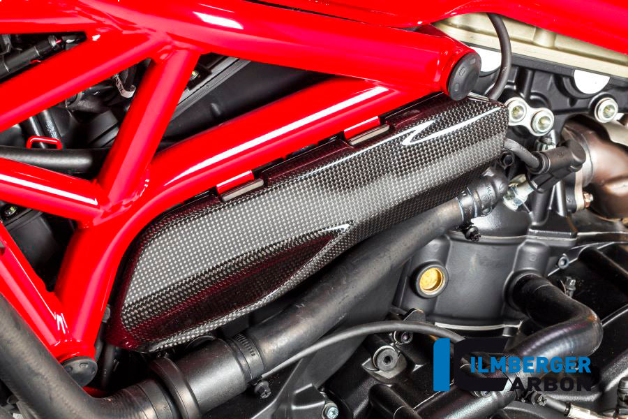 Ilmberger Carbon Cover under the Frame, Left Side for the Ducati Monster 1200/S/R/821 '14-17