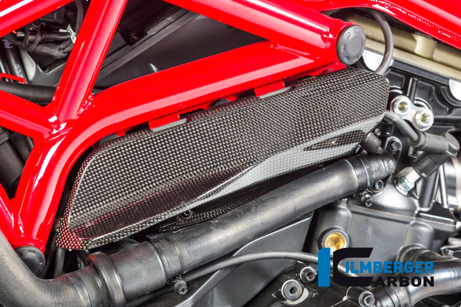 Ilmberger Carbon Cover under the Frame, Left Side for the Ducati Monster 1200/S/R/821 '14-17