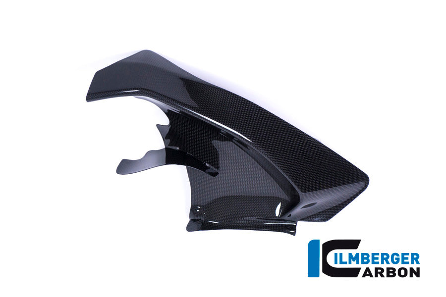 Ilmberger Carbon Side Panel Under The Tank, Left for the Ducati Panigale V4 '18 / V4 S '18-19