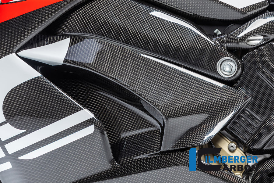 Ilmberger Carbon Side Panel Under The Tank, Left for the Ducati Panigale V4 '18 / V4 S '18-19