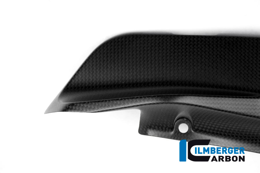 Ilmberger Carbon Cover under the Frame, Left Side for the Ducati Monster 1200/S/R/821 '14-17