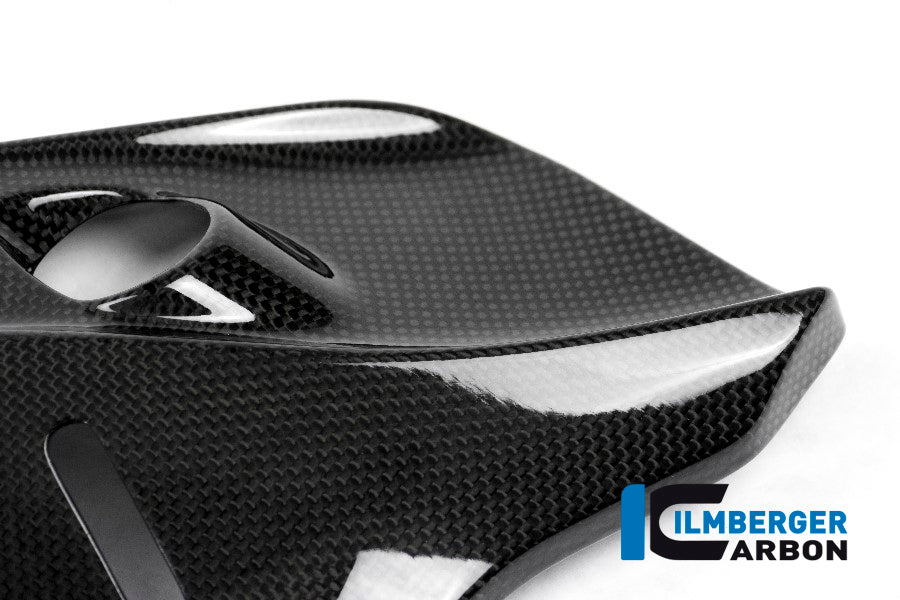 Ilmberger Carbon Cover under the Frame, Right Side for the Ducati Monster 1200/S/R/821 '14-17