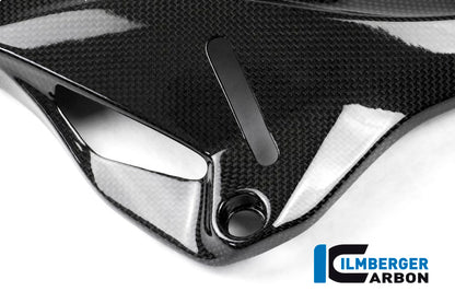 Ilmberger Carbon Cover under the Frame, Right Side for the Ducati Monster 1200/S/R/821 '14-17