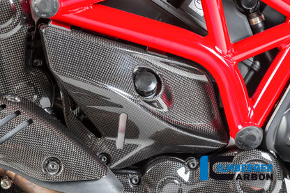 Ilmberger Carbon Cover under the Frame, Right Side for the Ducati Monster 1200/S/R/821 '14-17