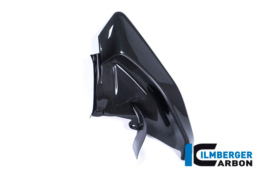 Ilmberger Carbon Side Panel Under The Tank, Right Gl for the Ducati Panigale V4 '18 / V4 S '18-19