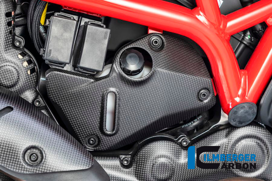Ilmberger Carbon Cover under the Frame, Right Side for the Ducati Monster 1200S 2017