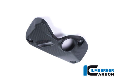 Ilmberger Carbon Cover under the Frame, Right Side for the Ducati Monster 1200S 2017