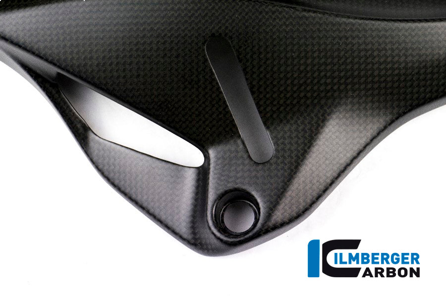 Ilmberger Carbon Cover under the Frame, Right Side for the Ducati Monster 1200/S/R/821 '14-17