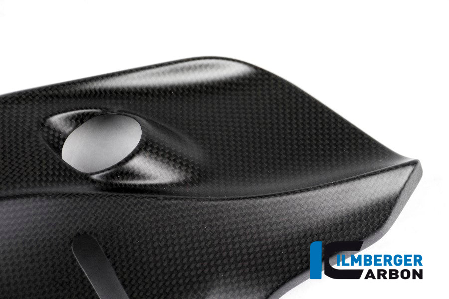Ilmberger Carbon Cover under the Frame, Right Side for the Ducati Monster 1200/S/R/821 '14-17