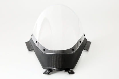 AELLA Carbon Fiber Trim Racing Windscreen For the Ducati Panigale V4 R (2019+) and V4 / S / SP (2020+)