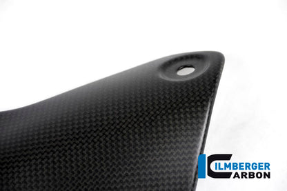 Ilmberger Carbon Exhaust Protection Muffler for the Ducati Monster 1200/S '14-16